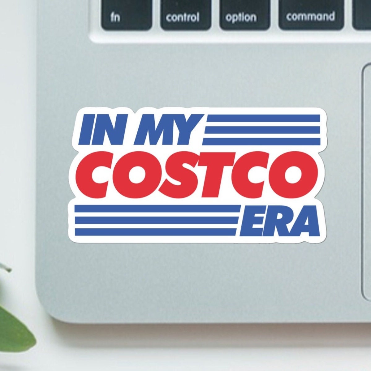 In my costco era - funny stickers - hot dog meme sticker for laptop, water bottle, phone, vinyl sticker, weatherproof, dawg, skateboard