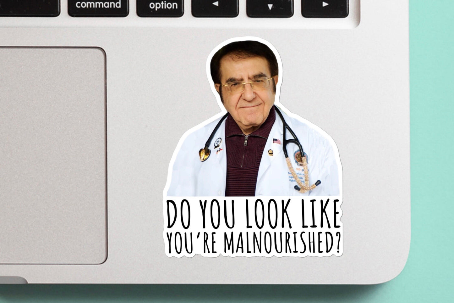 Dr. Do you look like you’re malnourished Sticker Or Magnet | Vinyl Sticker for Laptop, Stanley, Free Shipping, Water Bottle, Dr Nowzaradan