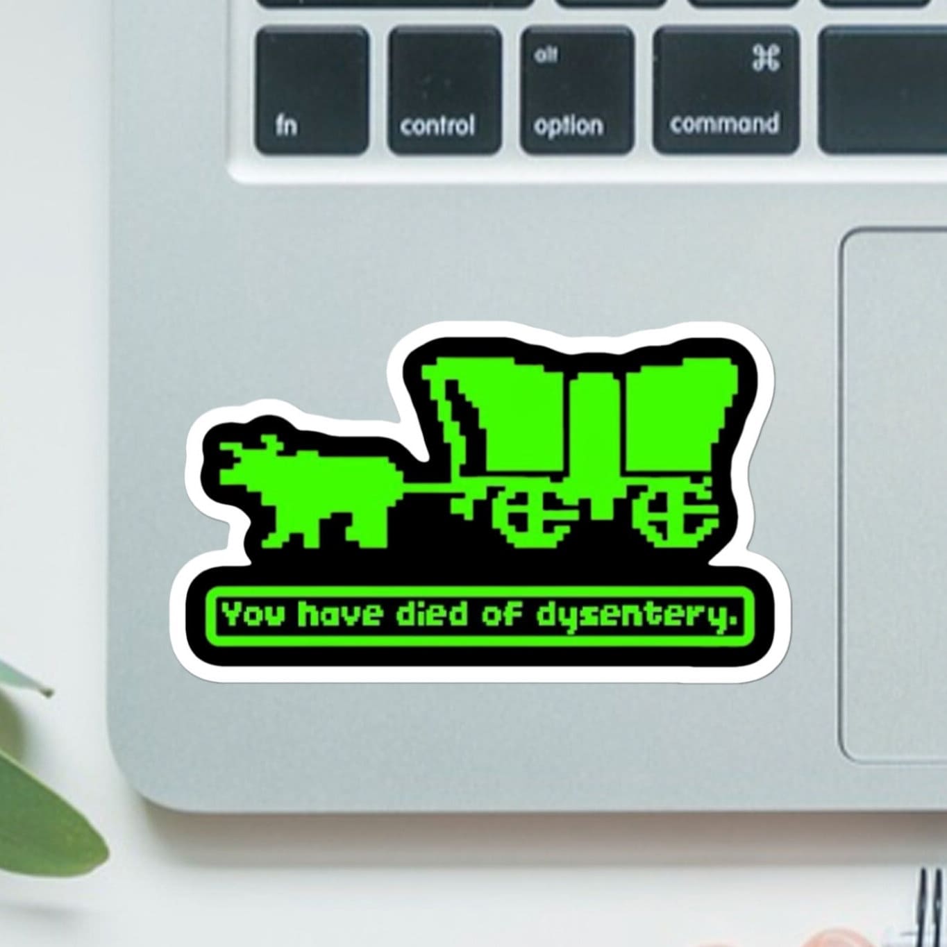 Oregon Trail You Have Died of Dysentary - Bed Bath Beyond, water bottle, laptop, vinyl, weatherproof, meme sticker, nostalgia, funny