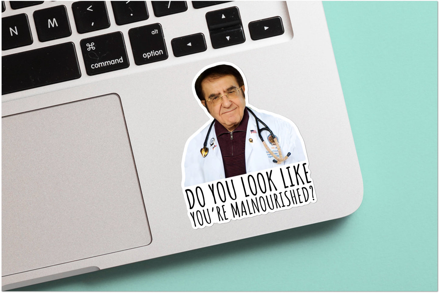 Dr. Do you look like you’re malnourished Sticker Or Magnet | Vinyl Sticker for Laptop, Stanley, Free Shipping, Water Bottle, Dr Nowzaradan