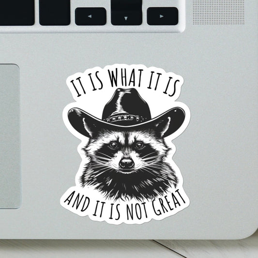 It Is What It Is And It Is Not Great Sticker - Funny Sticker, Raccoon Meme for Laptop, Water Bottle, Stanley, Hydroflask, Cellphone Case etc